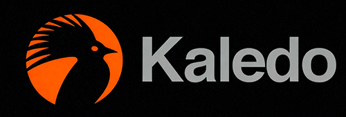 Kaledo Agence Web et Expertise IA